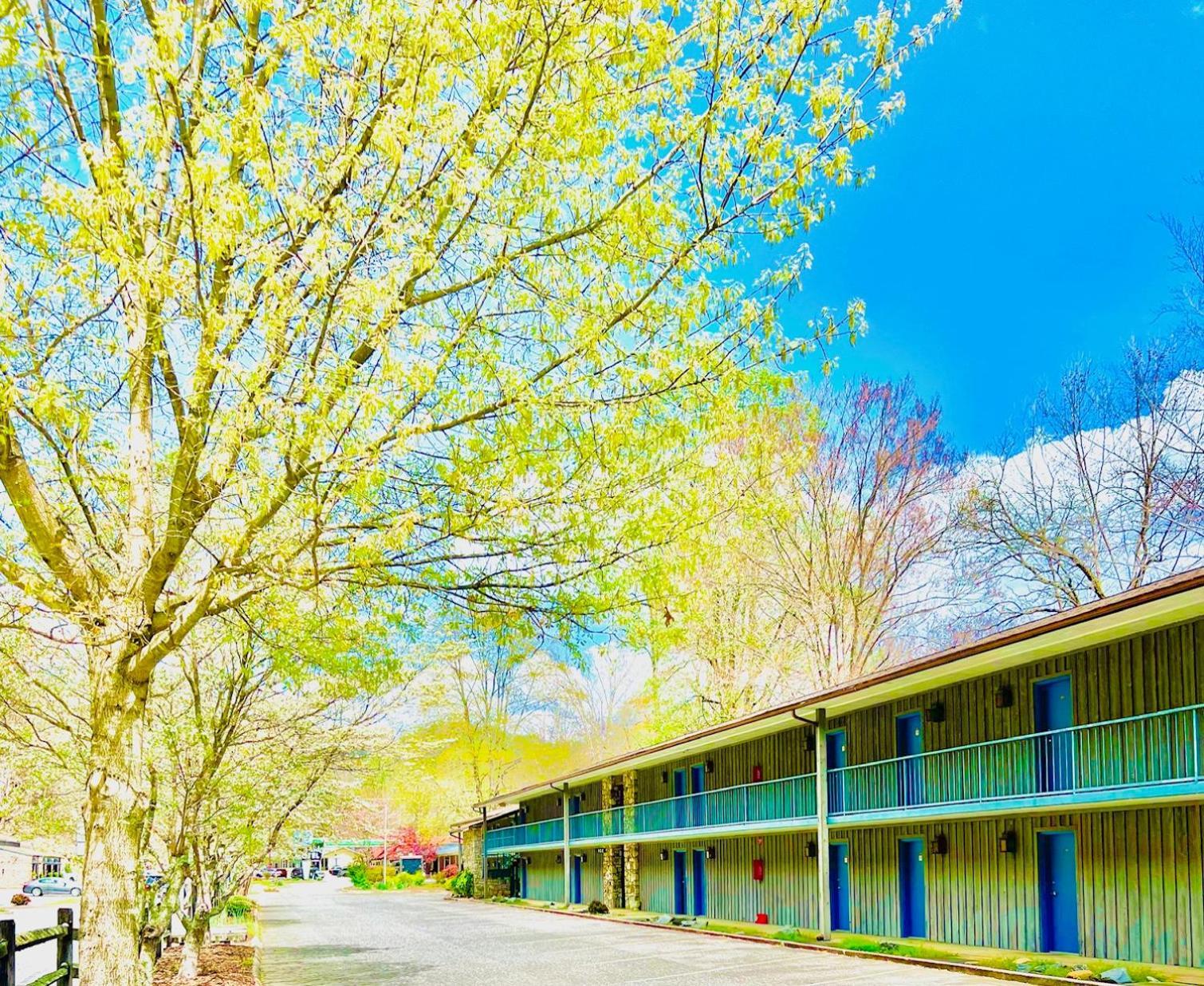 Newfound Lodge On The River チェロキー エクステリア 写真