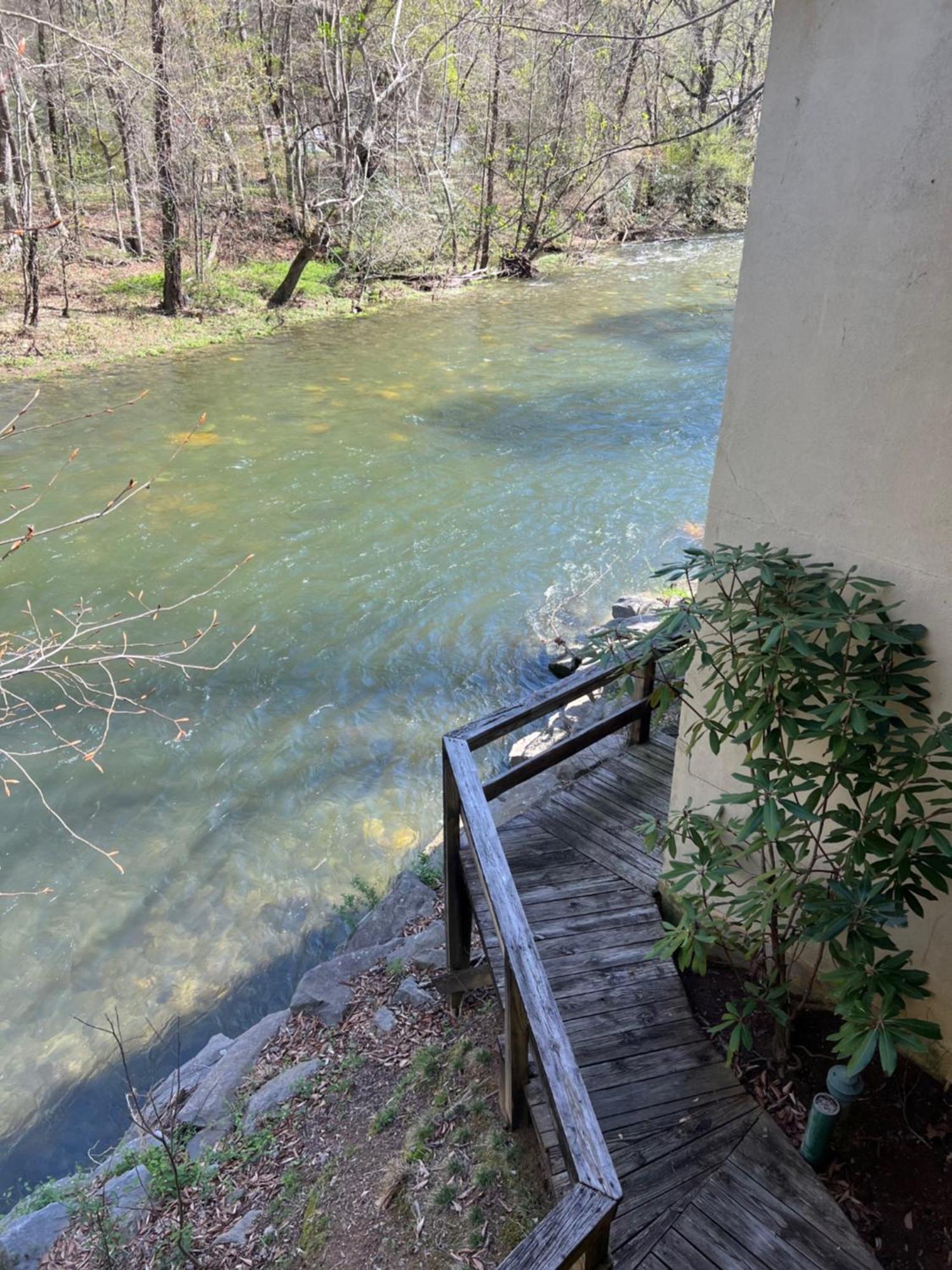 Newfound Lodge On The River チェロキー エクステリア 写真